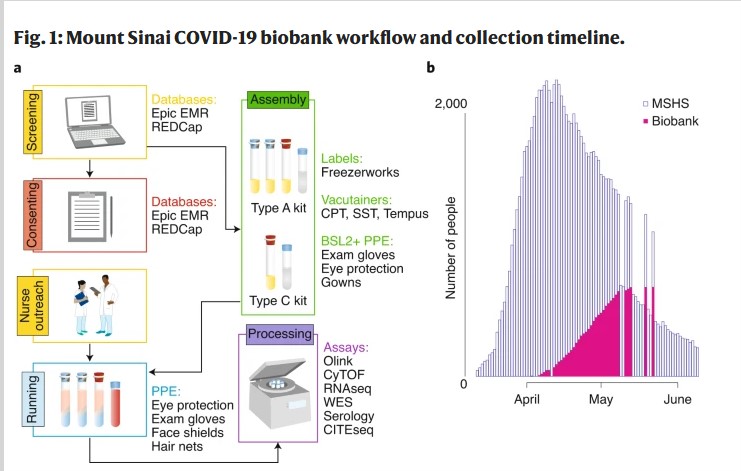 Unprecedented biobanking effort to combat COVID-19